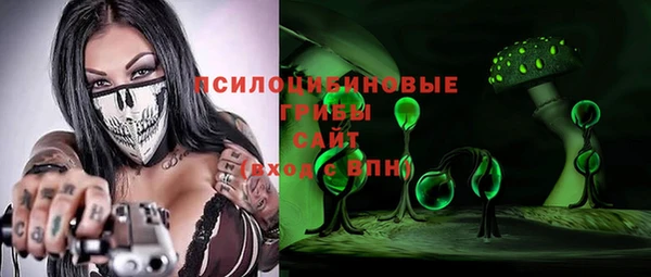 эйфоретик Арсеньев