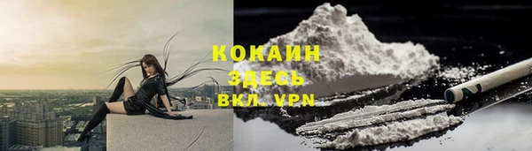 ешки Аркадак