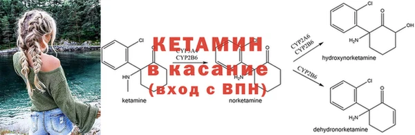 ешки Аркадак