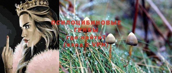 ешки Аркадак