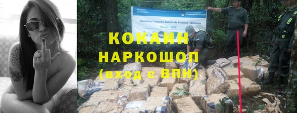 эйфоретик Арсеньев