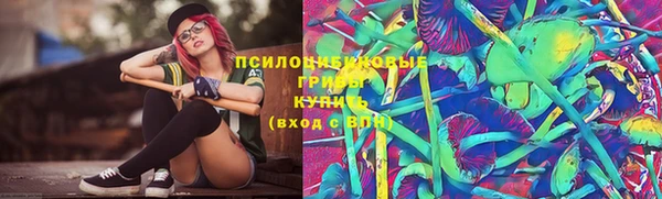 ешки Аркадак