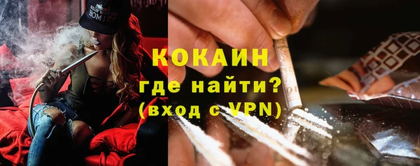 ешки Аркадак