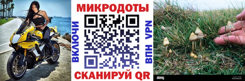 Псилоцибиновые грибы Cubensis  Радужный 